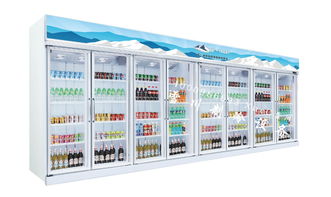 猪肉保鲜柜商用制冷双门展示冰柜水果保鲜冰柜放饮料的冰柜厨房立式